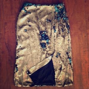 Sequin Skirt